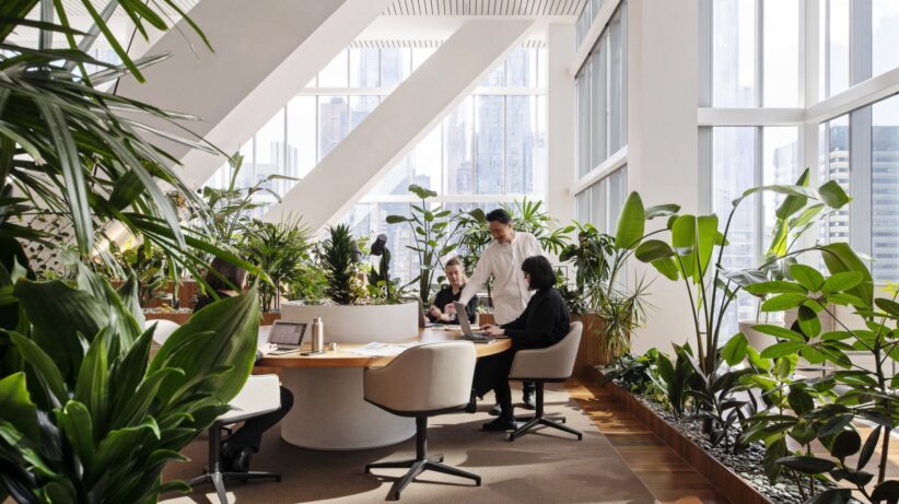 National Australia Bank Melbourne office fitout