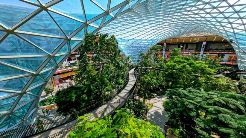 Hamad International Airport Terminal Expansion Project